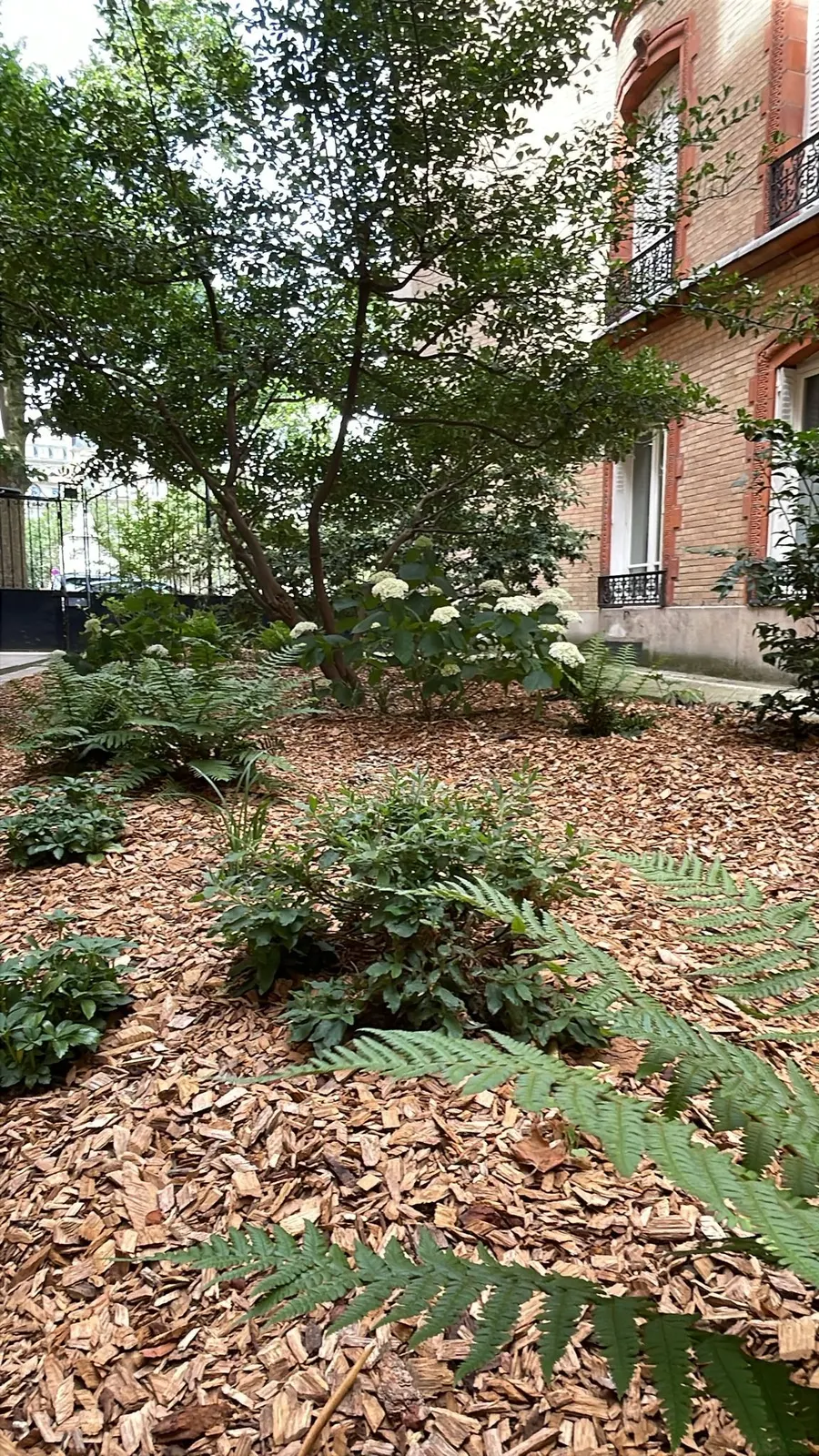 Le Jardin Renouveau – vue 2