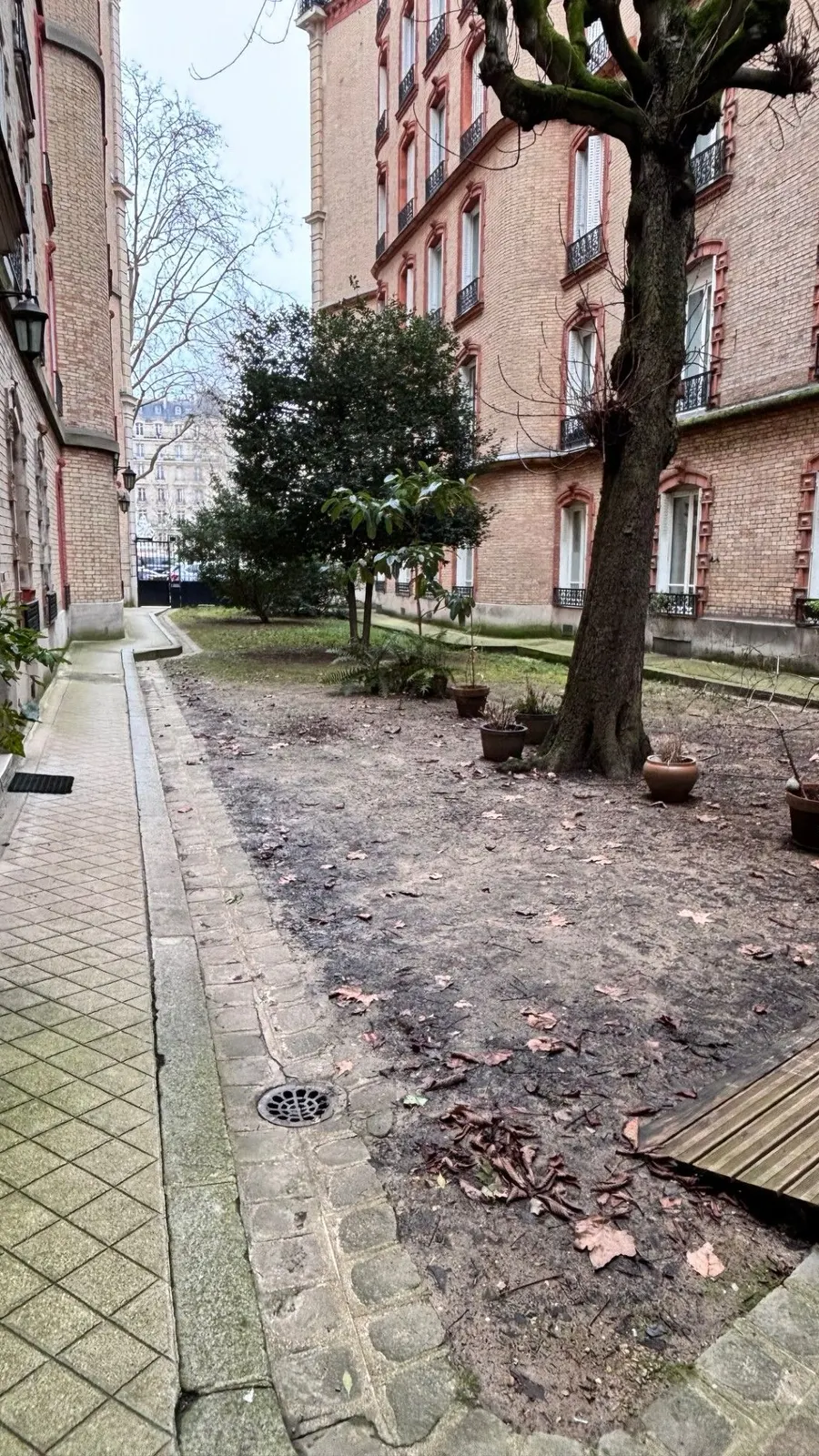 Avant – Le Jardin Renouveau