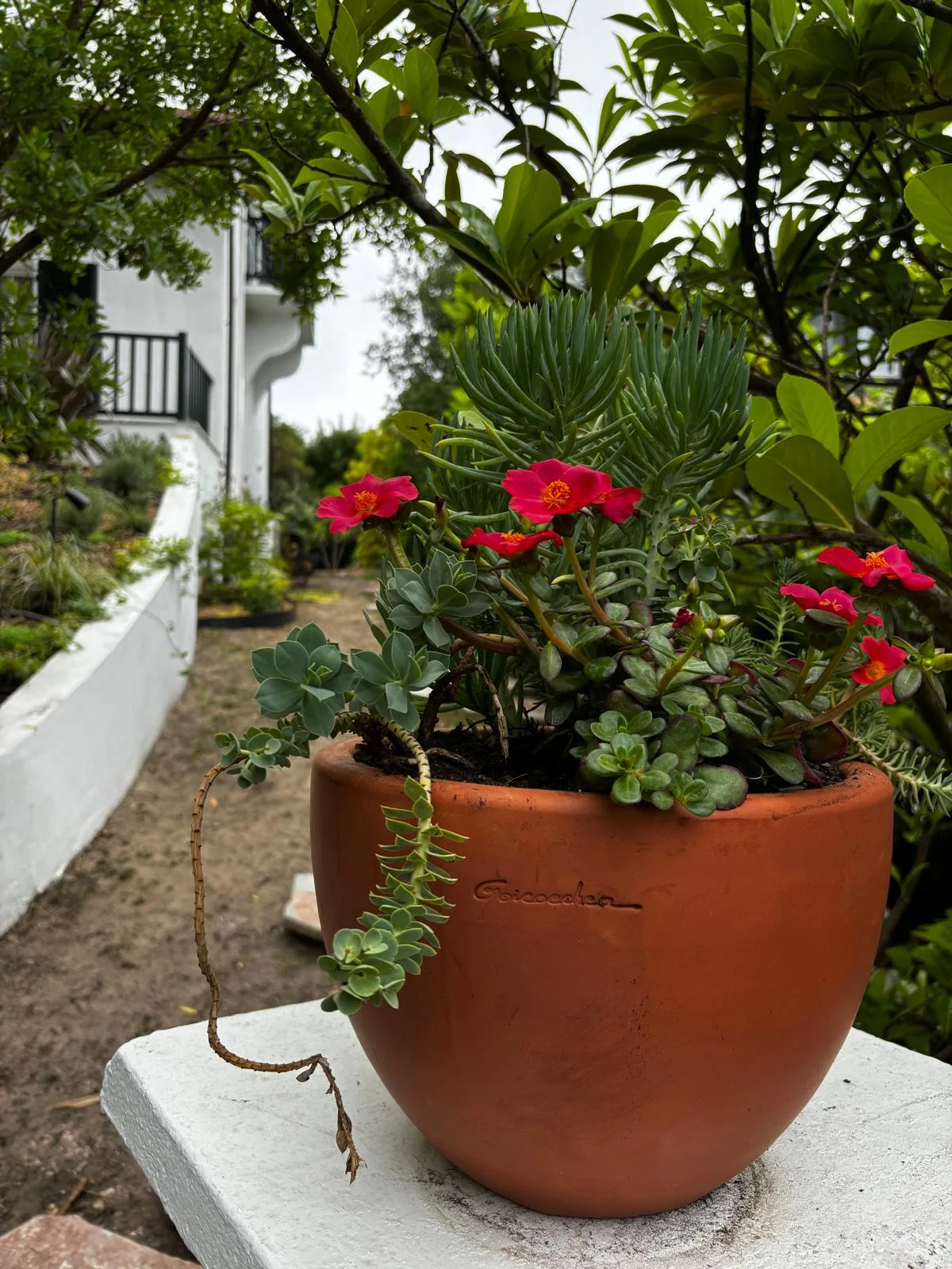 Giardino Vibrante – vista 4