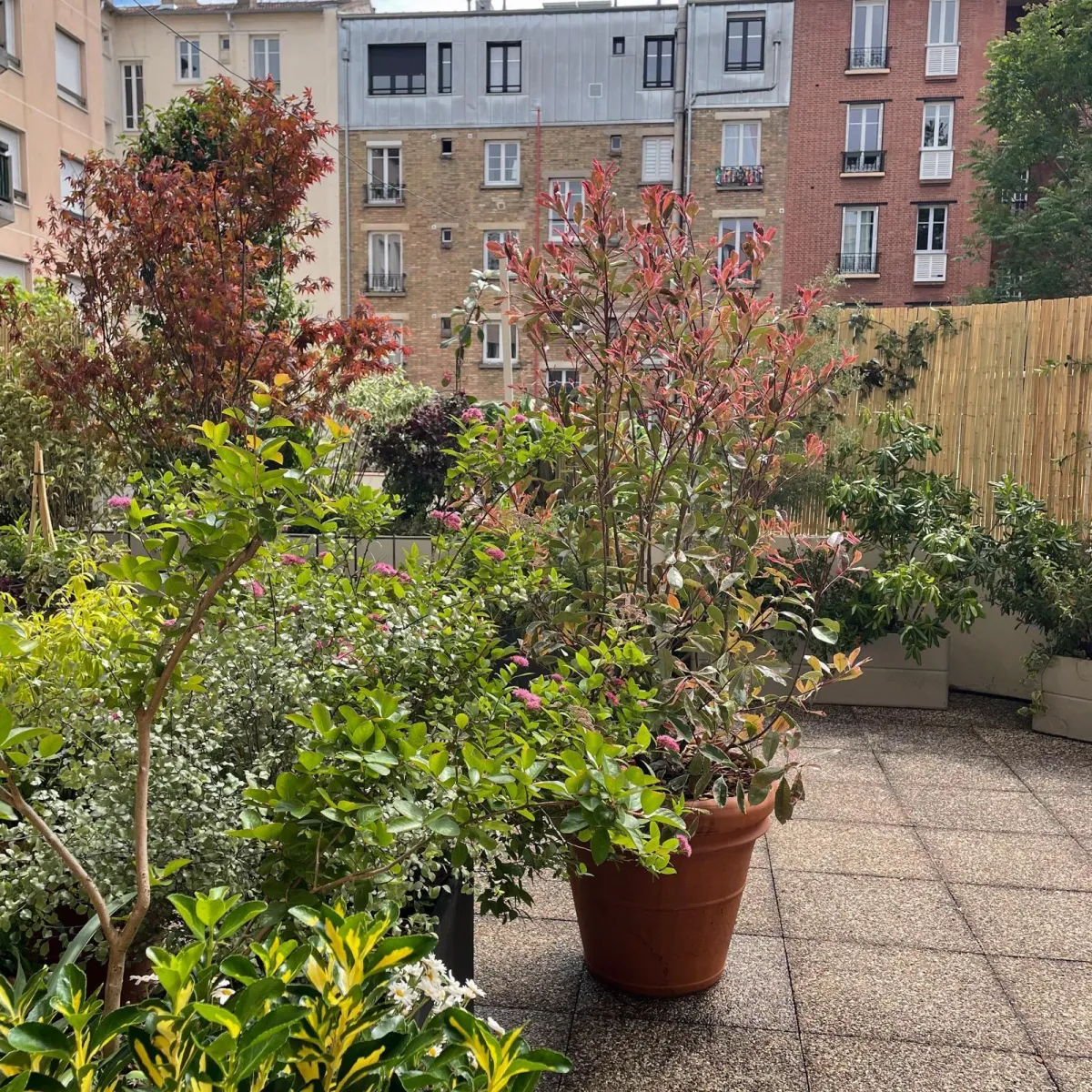 Terrazza Cottage – vista 1