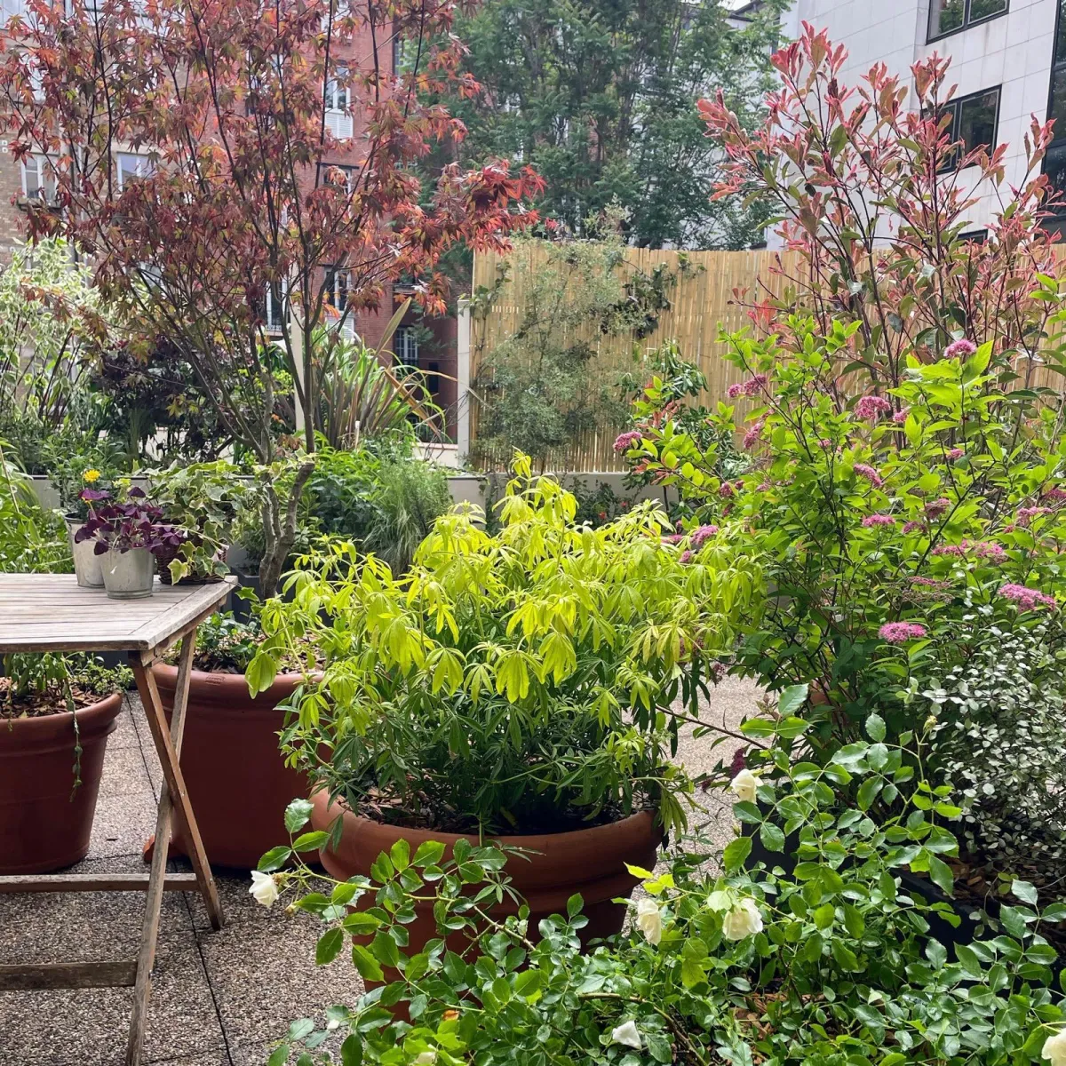 Terrazza Cottage – vista 2
