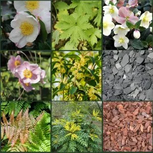 Giardino d'Ombre – vista 7