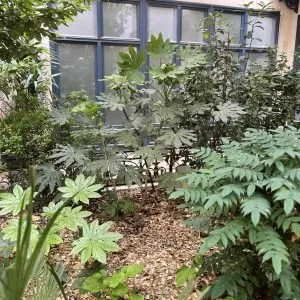 Giardino d'Ombre – vista 10