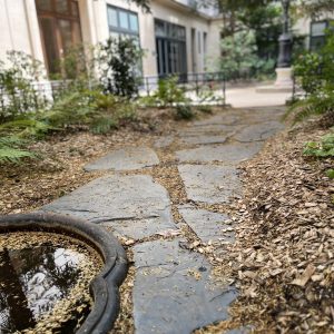 photo-projet-jardin-d'ombre-site-lily-giardini